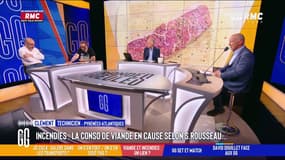 Viande et incendie : "Elle décrédibilise un peu la cause mais sur le fond, elle a raison !"