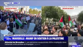 Marseille: "environ 200 manifestants" sont réunis à la Porte d'Aix en soutien au peuple Palestinien