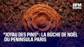  "Joyau des pins" : la bûche de Noël du Peninsula Paris 