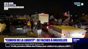"Convoi de la liberté": plus de 800 véhicules ont fait étape à Faches-Thumesnil
