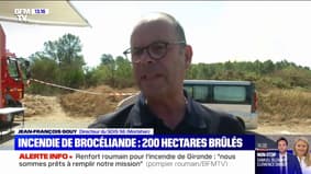 Incendie dans la forêt de Brocéliande: "Le feu a parcouru plus de 200 hectares et n'est pas encore fixé", selon les pompiers