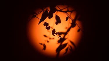 L'éclipse totale de soleil pourrait faire chuter brutalement la production d'énergie solaire, qui représente 10% de la consommation totale en Europe.
