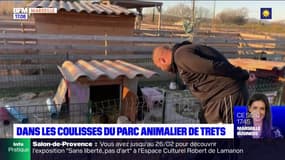 Dans les coulisses du parc animalier de Trets