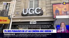 Punaises de lit: des salariés de l'entreprise UGC mettent en cause la gestion par la direction