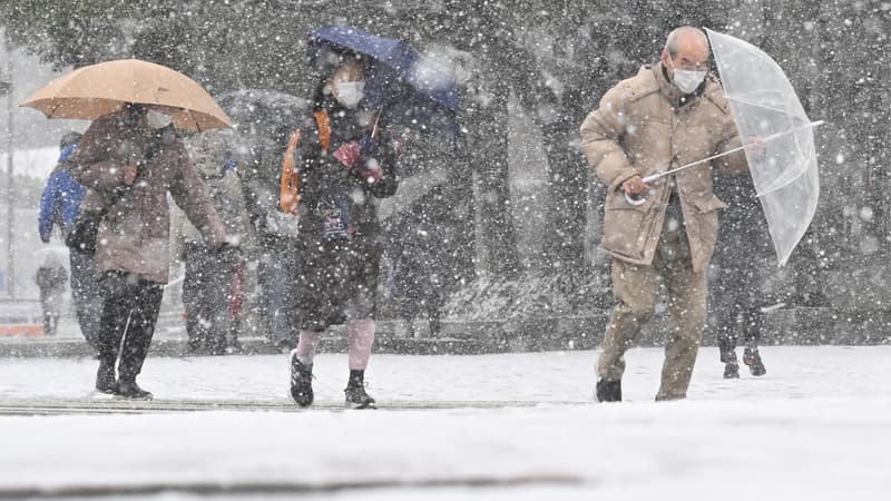 Les chutes de neige au Japon ont fait au moins 46 morts et 558 blessés en trois semaines