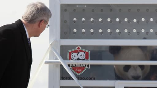 Le Premier ministre canadien a accueilli en personne le couple de pandas chinois.