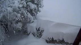 Haute-Corse : de la neige à profusion à Erbajolo - Témoins BFMTV