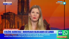 Bonsoir Alsace du lundi 12 janvier 2026