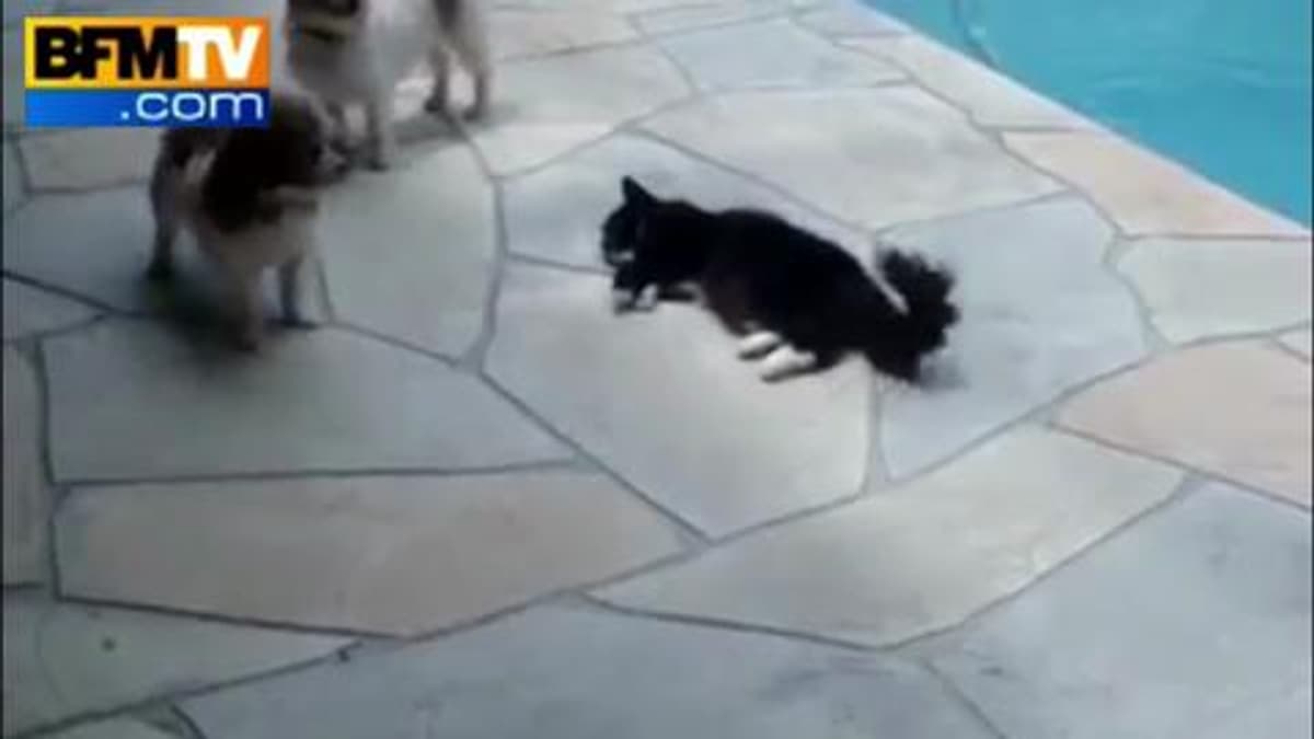 placeholder video