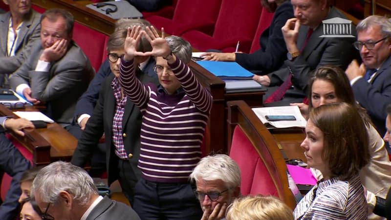 Alors qu'Aurore Bergé évoque le cas d'Adrien Quatennens à l'Assemblée, Sandrine Rousseau répond par un signe féministe