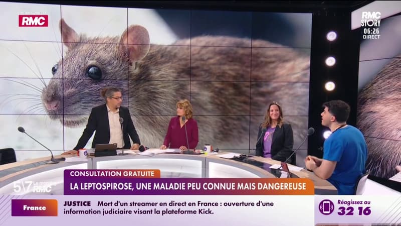 RMC Santé - La leptospirose, une maladie peu connue mais dangereuse