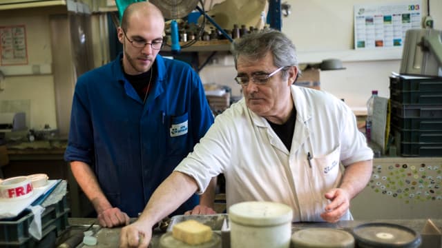 31,59 milliards d'euros ont été affectés à la formation professionnelle en 2014.