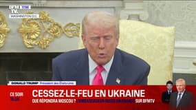 Donald Trump: "L'Union européenne est très dure avec nous"