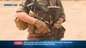 La France suspend ses opérations militaires conjointes avec l'armée malienne