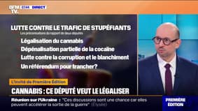 Médicament: "Nous sommes tous d'accord que nous devons combattre la traite"Assure Ludovic Mendes (Ensemble), qui offre la légalisation du cannabis