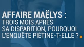 Près de trois mois après la disparition de Maëlys, pourquoi l'enquête piétine-t-elle ?