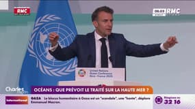 Océans: que prévoit le traité sur la haute mer bientôt ratifié? 