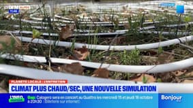 Observatoire de Haute-Provence : la simulation d'un climat plus chaud/sec