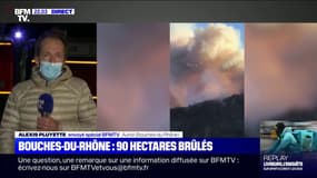 Bouches-du-Rhône: un incendie détruit plus de 90 hectares de forêt