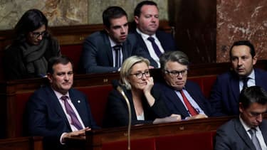Les députés du FN à l'Assemblée nationale.