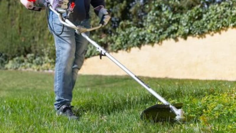 Depuis le 1er janvier 2025, les propriétaires doivent fournir un bilan des risques avec l'obligation de débroussaillement.