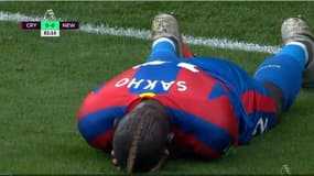 Mamadou Sakho aurait pu permettre à Crystal Palace d'empocher les trois points face à Newcastle.