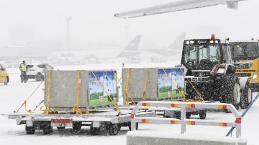 Les caisses contenant les deux pandas prêtés par la Chine à la Finlande sont arrivées à l'aéroport d'Helsinki-Vantaa le 18 janvier 2018.