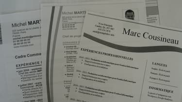 Pour 27% des Français, envoyer directement son CV aux sociétés est le meilleur moyen de décrocher un job.