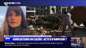 Story 2 : Agriculteurs en colère, acte II d'ampleur ? - 10/11
