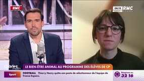 Le bien-être animal désormais au programme des élèves de CP