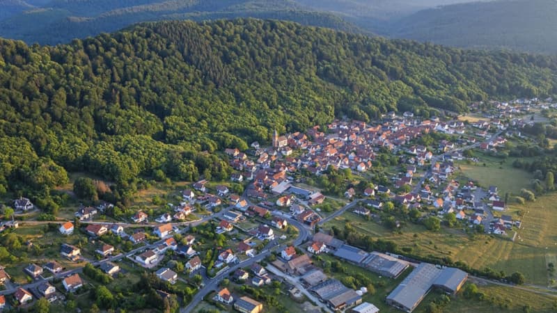 Huit militants écologistes jugés après avoir taggé un point, trois mois avec sursis requis