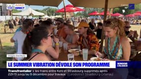 Sélestat: une partie de la programmation du festival Summer Vibration dévoilée