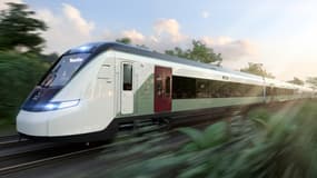 Alstom a déjà vendu 40.000 voitures Adessia Stream dans une quinzaine de pays, pour 60 réseaux péri-urbains. 
