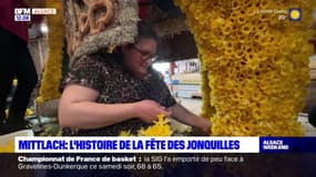 Mittlach: l'histoire derrière la Fête des jonquilles