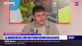 Alsace: le marché du CBD en plein essor