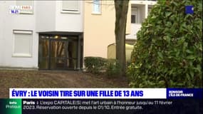 Essonne: une adolescente blessée par balle par son voisin, l'homme interpellé par le Raid