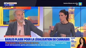 “Il faut changer de paradigme”: Sébastien Barles plaide la légalisation du cannabis