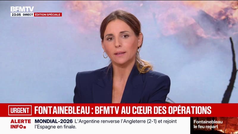 Incendies: Emmanuel Macron sera à Fontainebleau jeudi pour "apporter son soutien" à ceux qui luttent contre ce feu de forêt