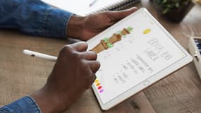 Apple sort une tablette à écran plus large que l'iPad grand public, propre à séduire les professionnels.