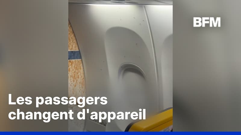 Un avion infesté de moustiques en Italie, les passagers changent d'appareil