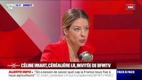 Ukraine: "Ce n'est pas à nous, les agriculteurs français, de payer le prix de cette guerre" assure Céline Imart