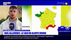 Le Var toujours en alerte rouge aux pollens