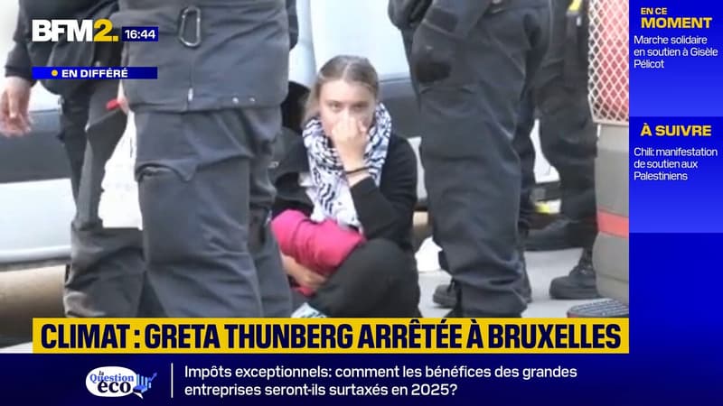 Regarder la vidéo Climat : Greta Thunberg arrêtée par la police à Bruxelles