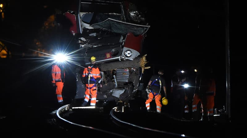 Un TER a percuté un arbre tombé sur la voie entre Montpellier et Nîmes mercredi.