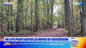 Hauts-de-Seine: un loto pour sauver les mares de Vaucresson