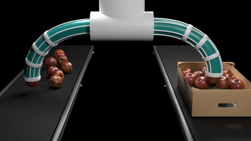 Loin des idées préconçues et plus à même de cohabiter avec les humains, comment la robotique déformable peut aider les agriculteurs