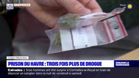 Les saisies de cannabis ont été multipliées par trois à la prison du Havre