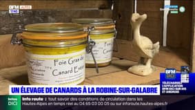 Alpes de Haute-Provence : cette année le foie gras sera local avec La Robine Des Canards !
