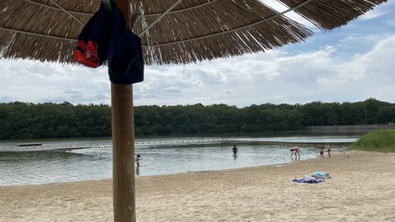 Les étangs de Hollande, près de Rambouillet.