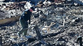 Un chien cadavre, du shérif du comté de Los Angeles, renifle les décombres des propriétés en bord de mer détruites par l'incendie de Palisades le long de la Pacific Coast Highway à Malibu, en Californie, le 12 janvier 2025. (Photo d'illustration)